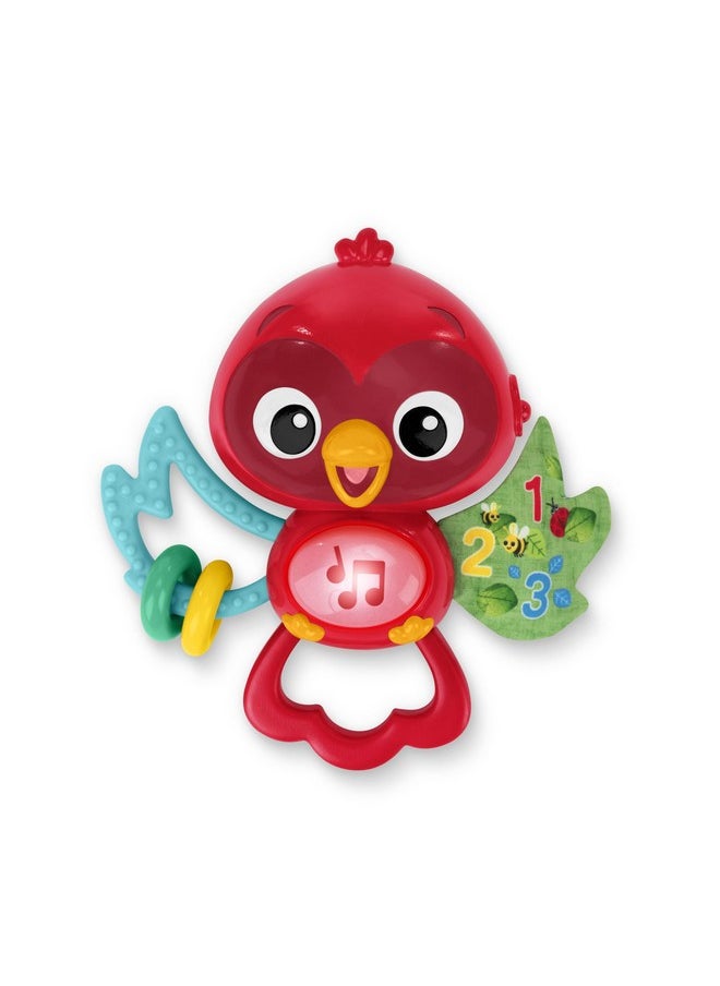 Roxys Bright Flight Musical Toy, Multisensory, Ages 3 Months And Up