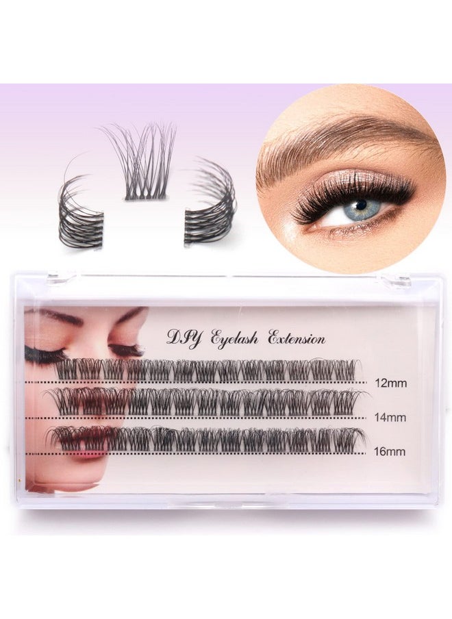 Veleasha DIY Eyelash Extension Individual Lashes with Clear Band D Curl Lash Extension Strip 39 Clusters Reusable Wispy False Eyelashes for Personal DIY at Home / FD02 12-16MM