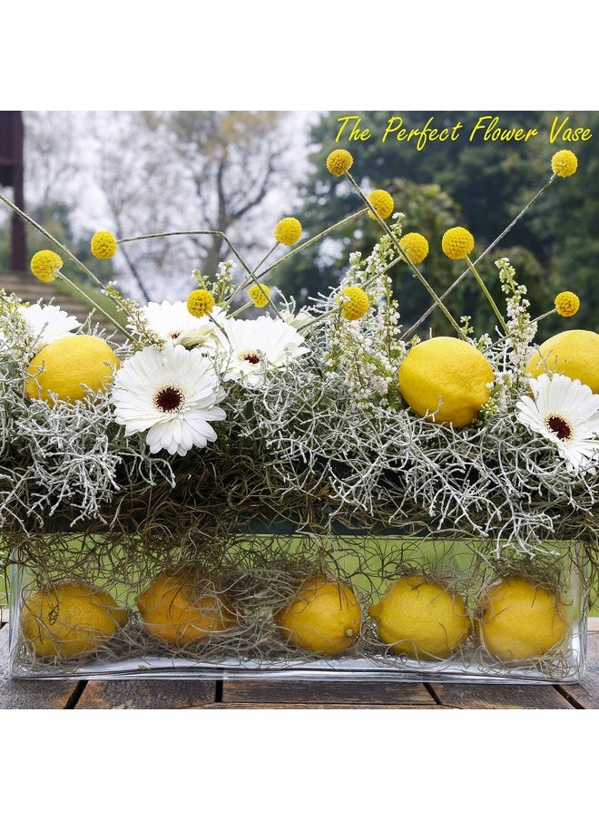 Glass Rectangle Vase (H:4