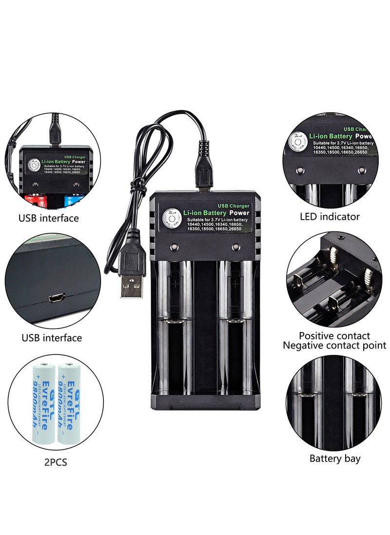 9800mAh 18650 Battery with 2 bay Charger for Rechargeable Batteries 3.7V Li-ion TR IMR 18650 14500 16340(RCR123) Red/Green Display, USB Intelligent Universal Rechargeable Battery Charger