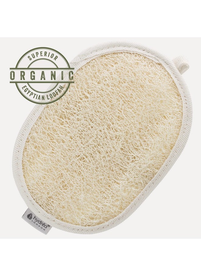 Hydréa London Organic Egyptian Loofah Luxury Exfoliating Body Pad Natural Quality Spa Bodycare For Bath Shower
