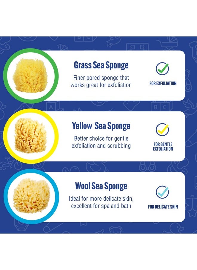Natural Wool Sea Sponge, Newborn Bath Time Essential, Ultra Soft For Delicate Skin, Hypoallergenic And Biodegradable, 2 Pack