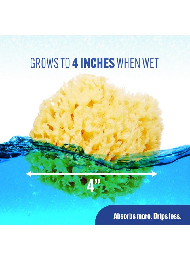 Natural Wool Sea Sponge, Newborn Bath Time Essential, Ultra Soft For Delicate Skin, Hypoallergenic And Biodegradable, 2 Pack