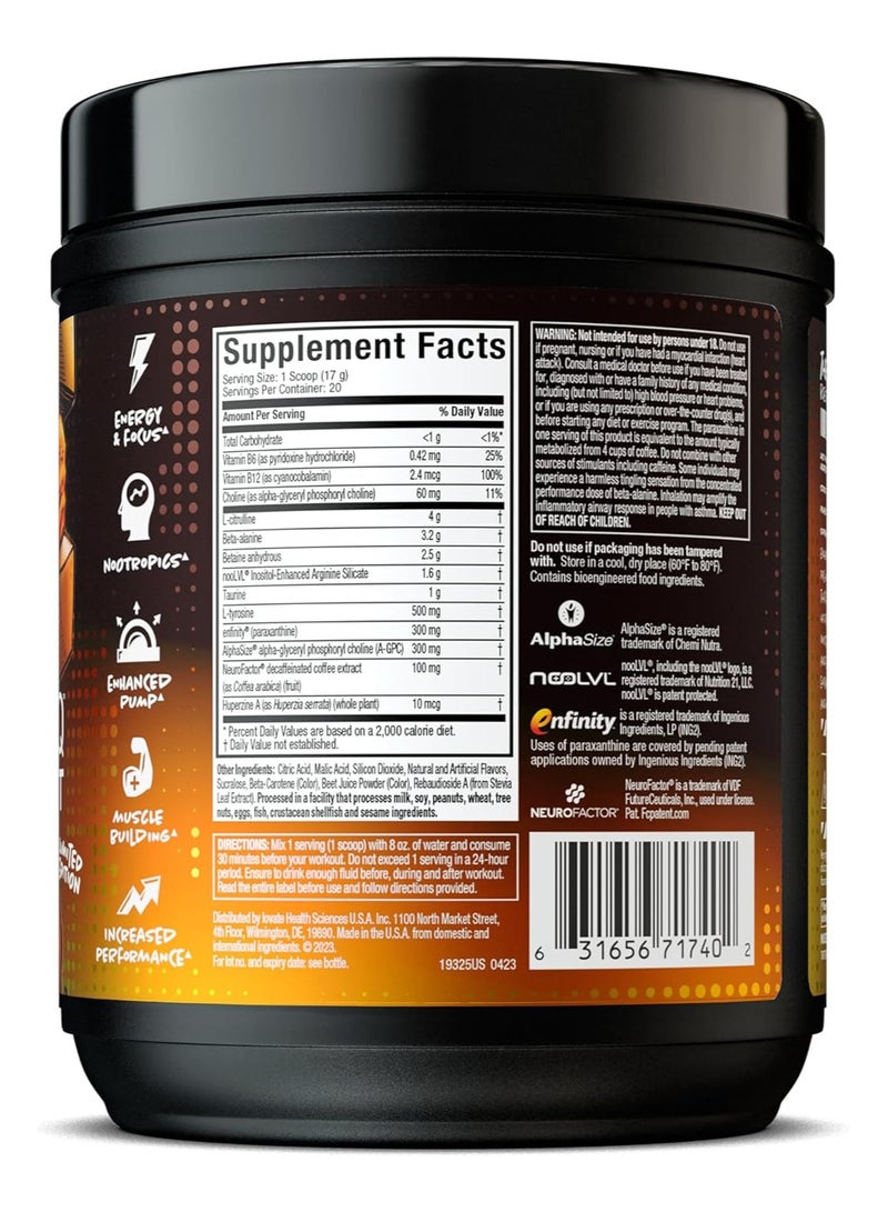 Pre Workout Powder Euphoriq For Men And Women 20 Servings