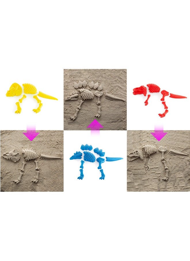 3 Large Dinosaur Sand Molds, Fossil Skeleton Beach Toy Set - Perfect For Dinosaur Bones For Sandbox Play.