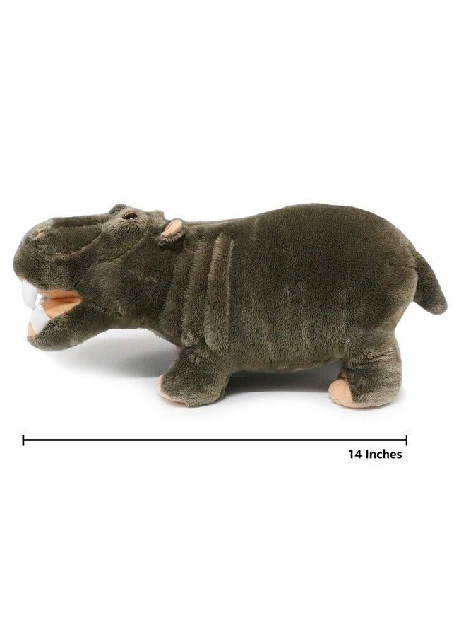 Wild Animal Stuffed Animals Zoo Family Plush Toy (Hippo 14 Inches)
