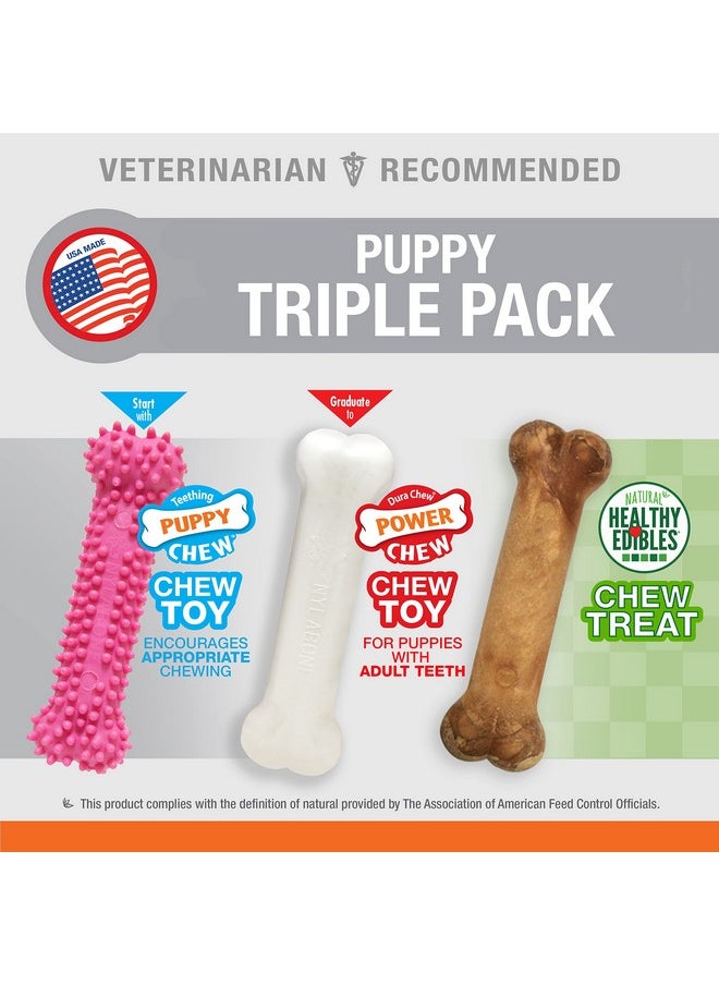 Puppy Triple Pack - Pink Puppy Teething Toy, Nylon Dog Toy, & Chew Treat Variety Pack - Puppy Supplies - Chicken And Bacon Flavors, Small/Regular (3 Count)