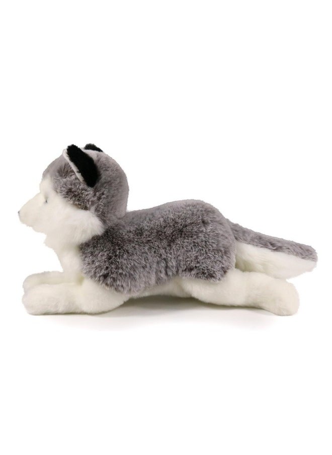 Little Siberian Husky Stuffed Animal Plush Toy 8 Inches