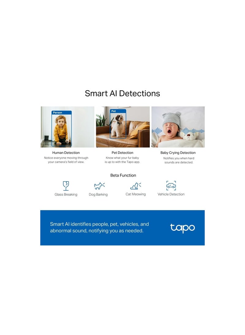 Tapo 2K 4MP C220 WiFi Indoor Surveillance Camera, Person Detection, Two-Way Audio, Compatible with Alexa and Google Assistant, for Baby/Pets (UAE Version)