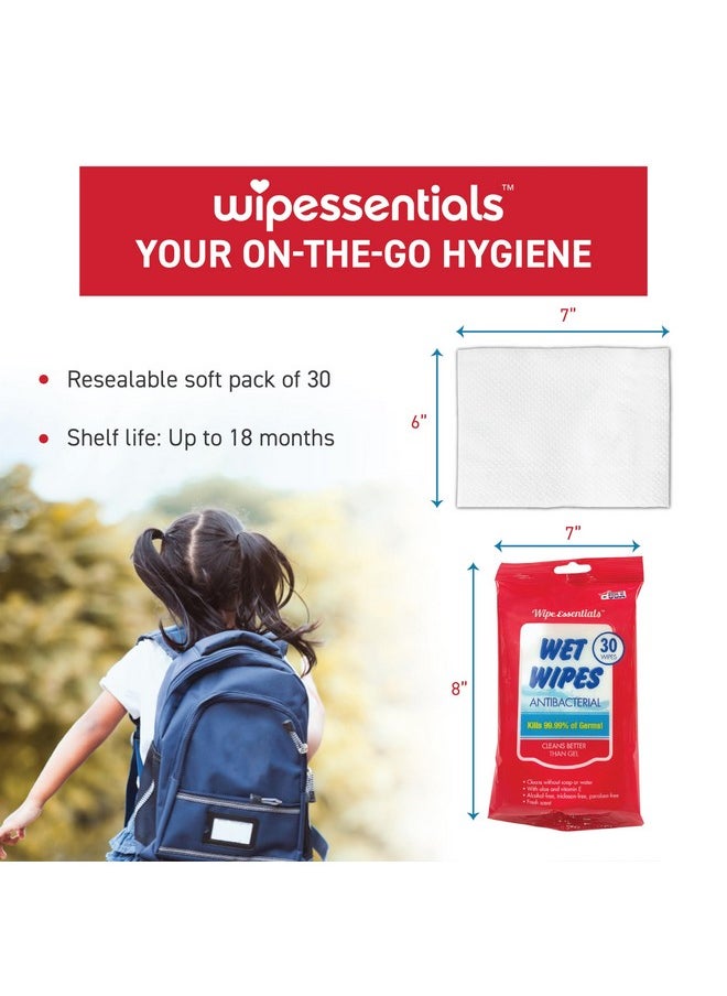 Wipeessentials Hand Sanitizer Wipes, Hand Wipes For Adults And Kids - 360 Wipes - 12 Packs Of 30Ct Hand Sanitizing Wipes, Travel Essentials