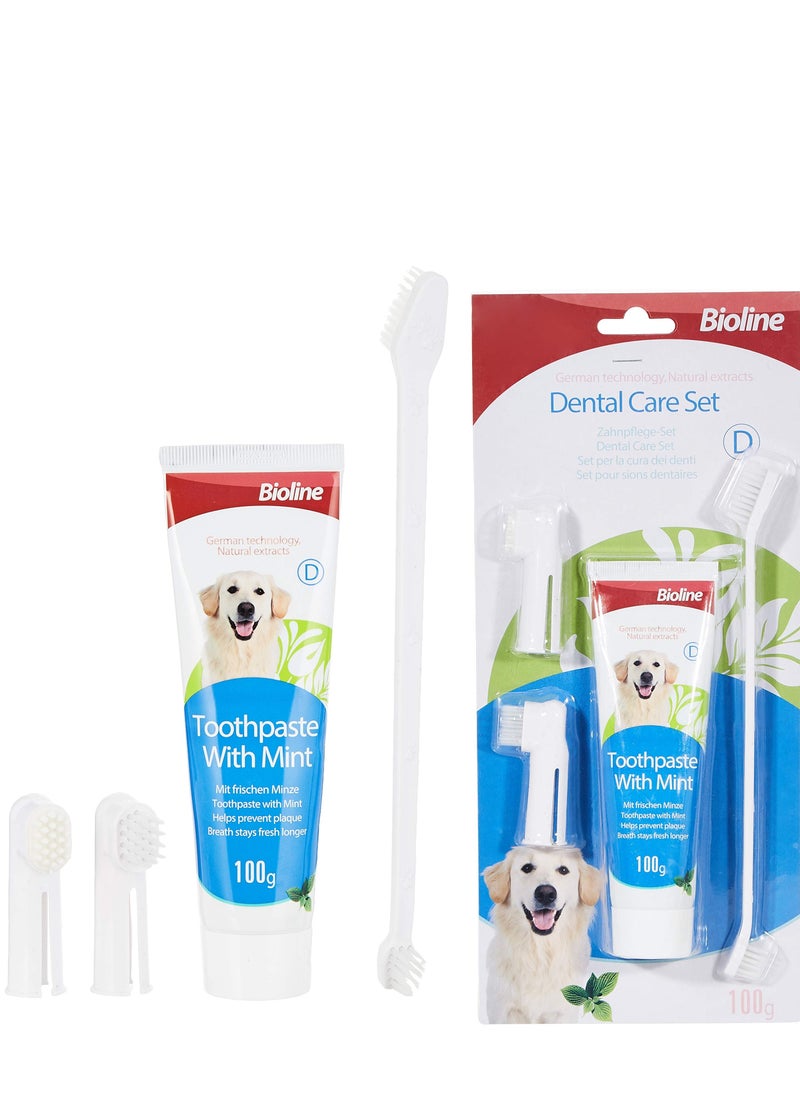 Dental Care Set Mint Flavor Toothpaste And Toothbrush Pet Oral Teeth Cleaning Set 2X100g