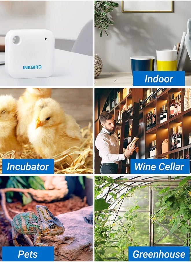 Wifi Thermometer Hygrometer Monitor Smart Temperature Humidity Sensor Ibs-Th3 With App Notification Alert 1 Year Data Storage Export Remote Monitor For Greenhouse Wine Cellar Baby Room