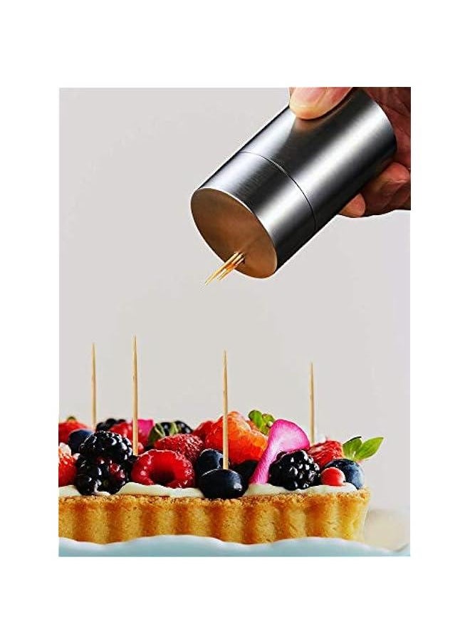 Toothpicks Holder Dispenser Stainless Steel (Chromed)