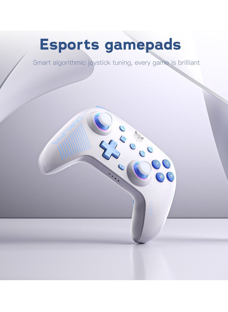 Wireless Game Controller Bluetooth Dual Mode Gamepad Remote Control with Adapter, Rechargeable Battery (White)