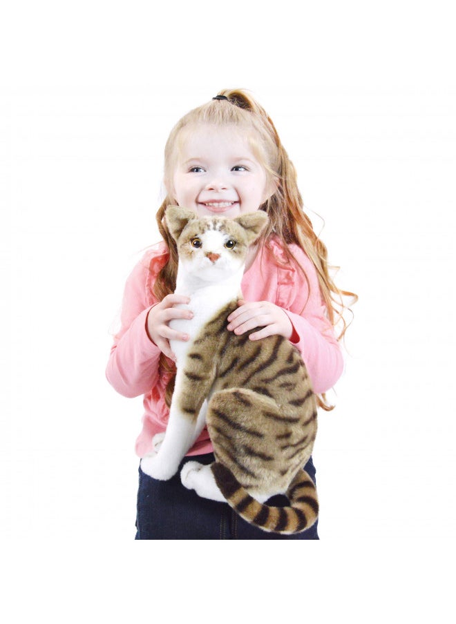 VIAHART Amy The American Shorthair Cat - 14 Inch Stuffed Animal Plush - by Tiger Tale Toys