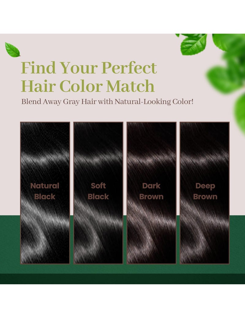 Color Cream PPD Free Natural Black 1 pack Korean Herbal Ammonia Free Vegan Hair Dye Sun Protection Odorless No more Eye and Scalp Irritations From Coloring For Sensitive Scalp