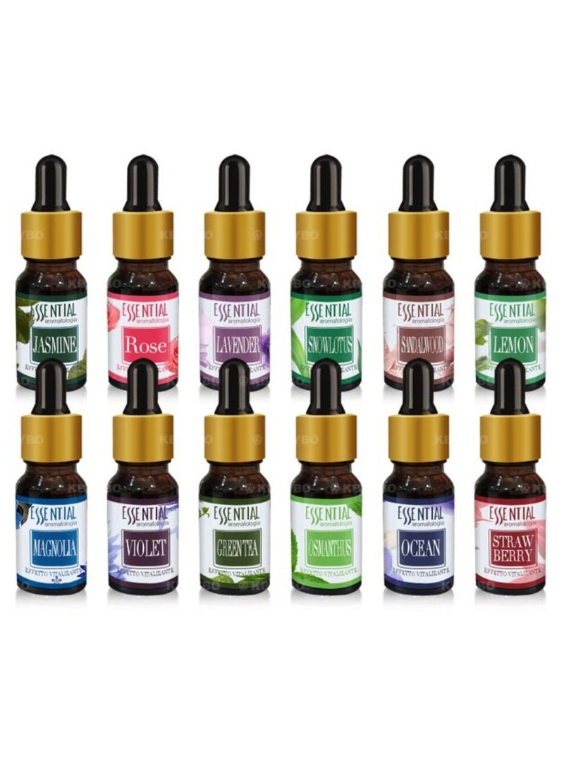 Pack Of 12 Humidifier Oil Multicolor 10ml