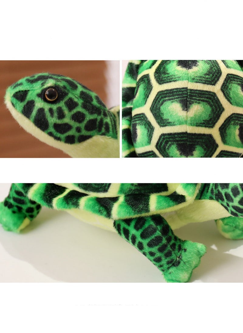 30 CM Simulation Turtle Plush Toy Soft Stuffed Cute Animal Doll For Girls And Boys All Ages Gift (Green)