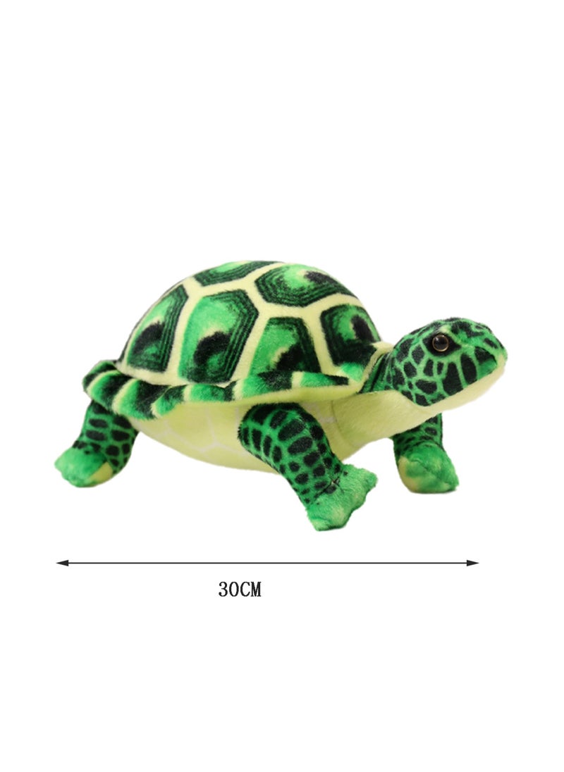 30 CM Simulation Turtle Plush Toy Soft Stuffed Cute Animal Doll For Girls And Boys All Ages Gift (Green)