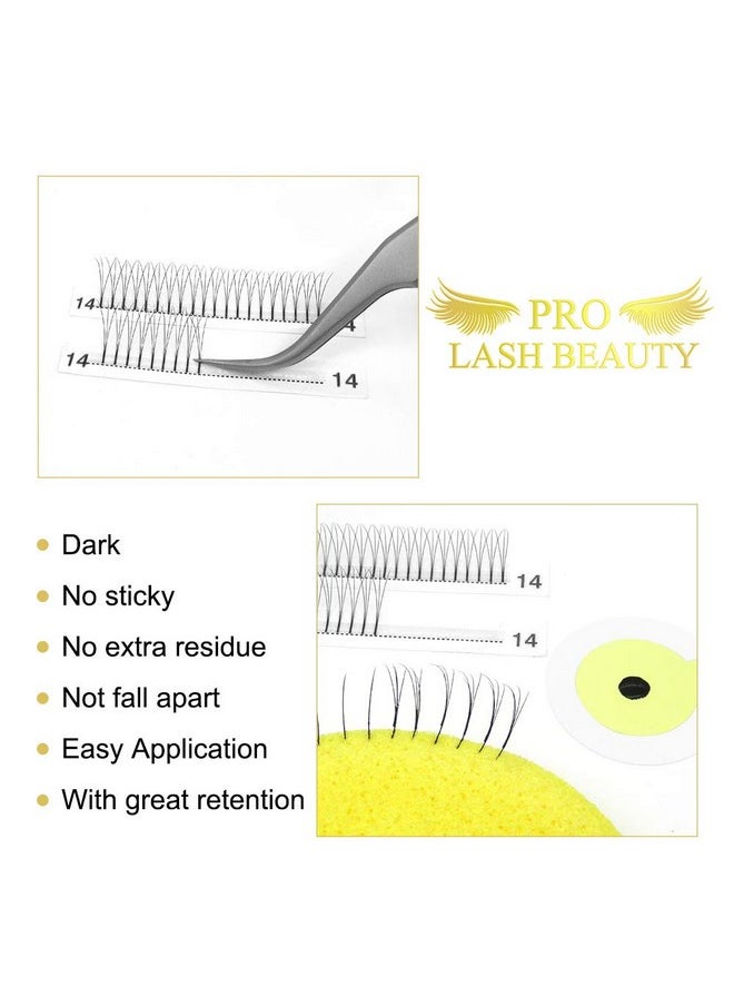 Premade Volume Eyelash Extensions, 0.10Mm, C Curl, 9Mm, 3D, Vegan, Polybutylene Terephthalate Fiber, Individual, Long Stem, Indoor Use, 1 Count