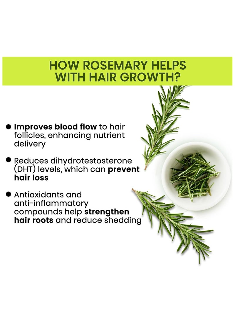 Rosemary Water Spray For Hair Growth Twin Pack (200 ml x 2) | Hair Spray for Regrowth | Rosemary Hair Mist | Adds Shine | Helps Reduce Hairfall | Strengthens Hair | For All Hair Types