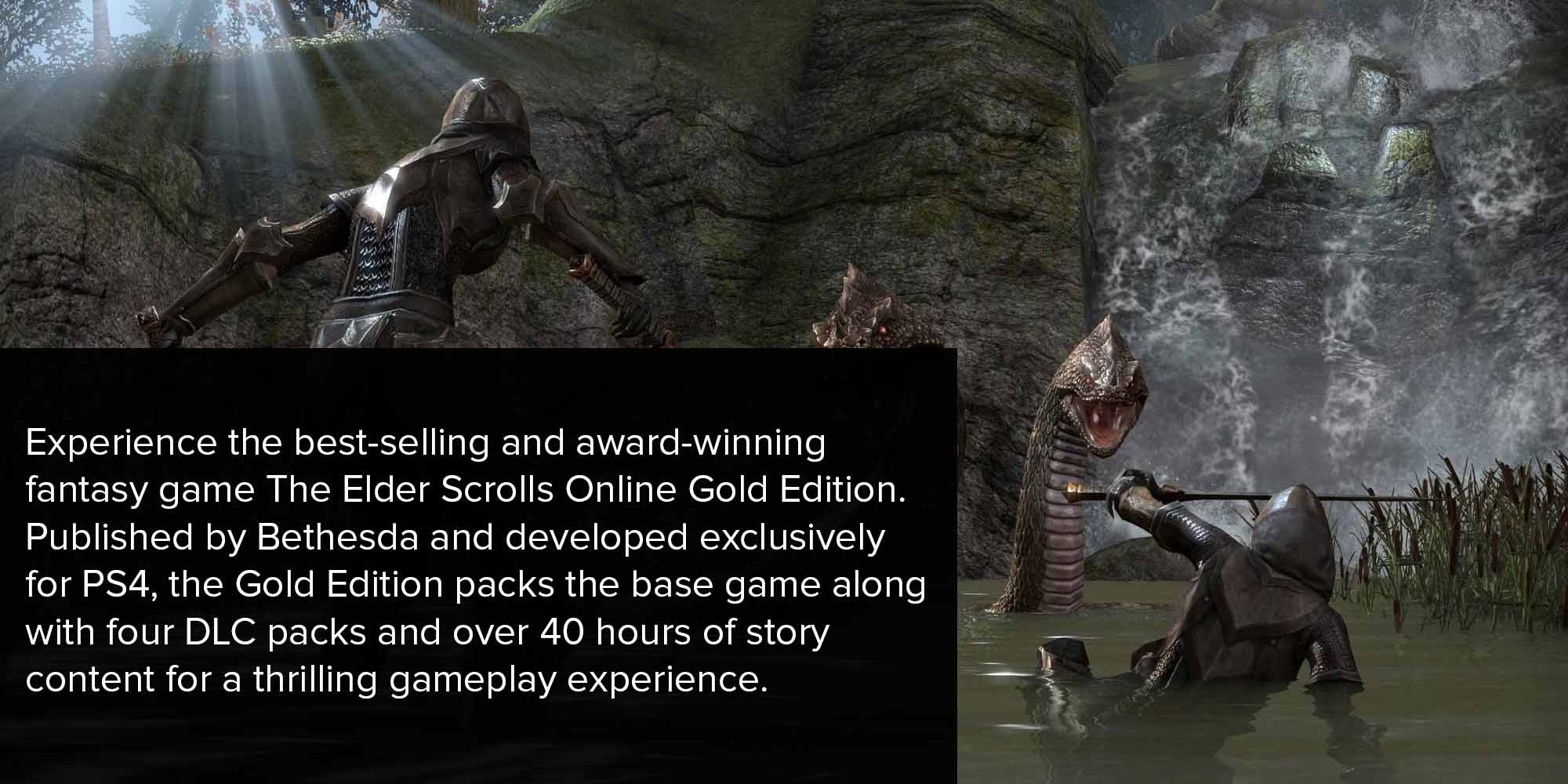 The Elder Scrolls - (Intl Version) - Role Playing - PlayStation 4 (PS4)