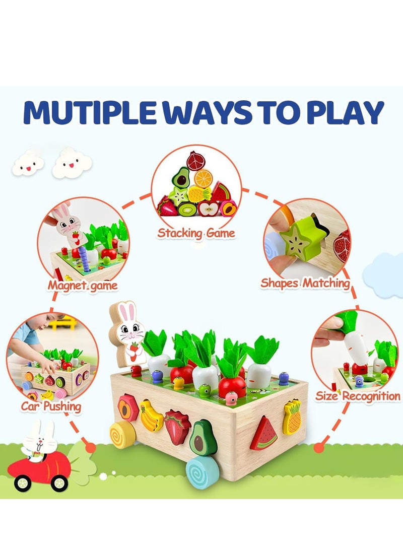 Montessori Wooden Educational Toys for Boys Girls, Shape Sorting Size Matching Toys Gifts for Kids, Wood Preschool Learning Fine Motor Skills Game