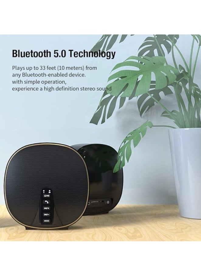 BLUETOOTH Speaker Wireless 10w BLUETOOTH double 5.0 Model:A662 Stereo Sound and Rich Bass, Built-in Mic FM Radio for Cell Phone Tablet Laptop