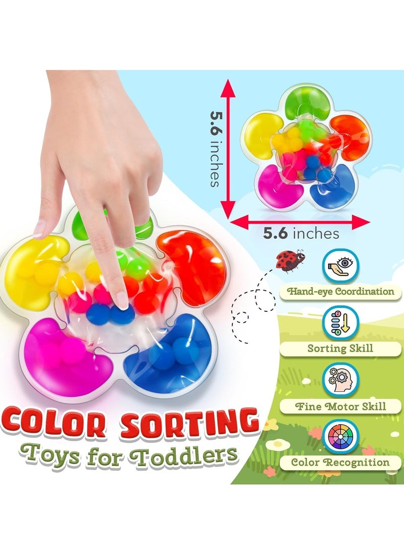 Color Sorting Toys Sensory Toys, Fine Motor Skills Game for Toddlers, Color Matching Toys Preschool Learning Activities Educational Calm Down Montessori Toys for Kids Boys Girls Ages 1 2 3 As Gifts