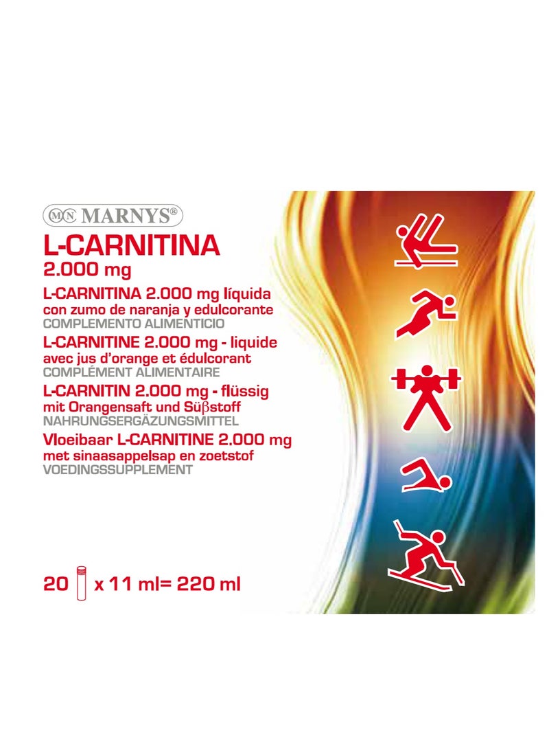 Marnys L-Carnitine 2000 mg - Liquid Fat Burner - Weight Loss Support - Muscle Recovery - Boosts Physical Performance & Metabolism - 20 Drinkable Vials