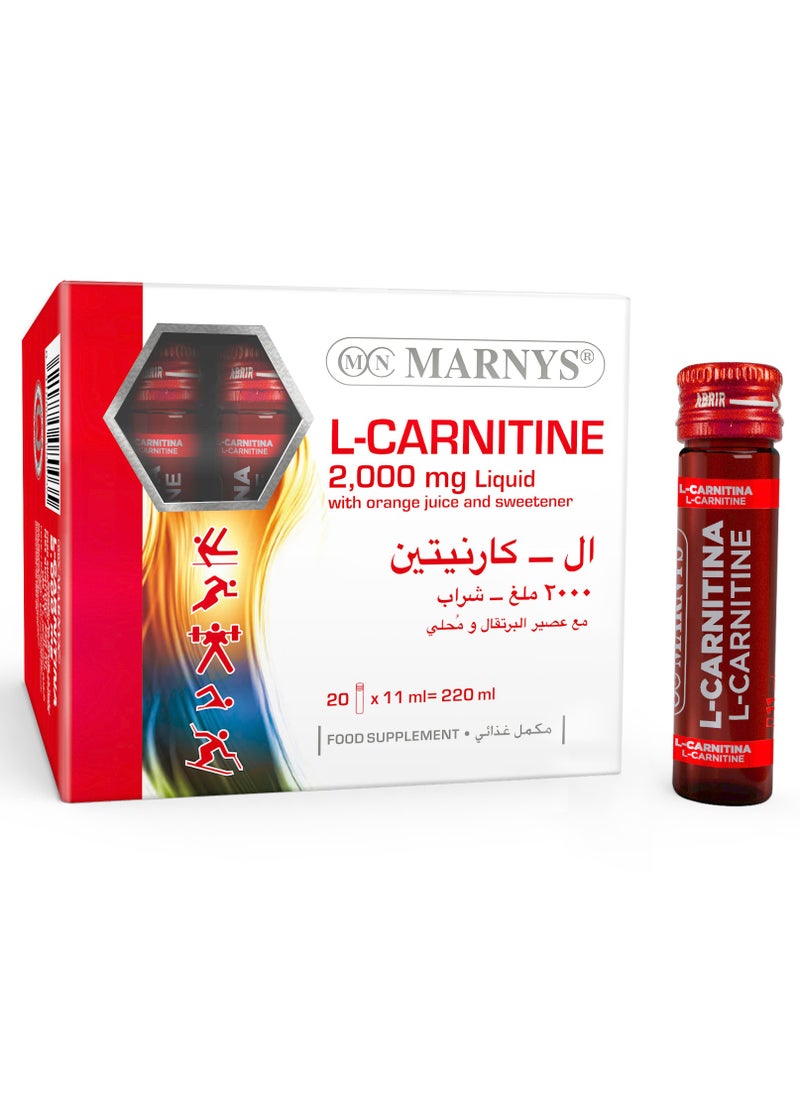 Marnys L-Carnitine 2000 mg - Liquid Fat Burner - Weight Loss Support - Muscle Recovery - Boosts Physical Performance & Metabolism - 20 Drinkable Vials