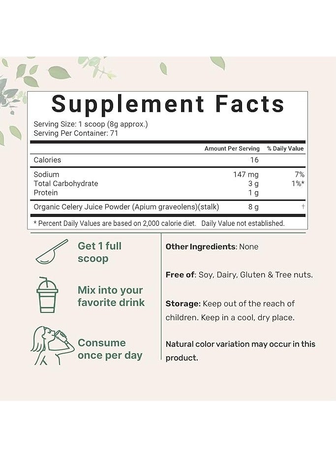 Organic Cold-Pressed Celery Juice Powder 20 oz