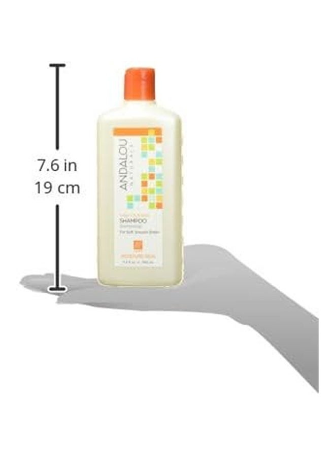 Andalou Naturals Shampoo Moisture Rich, With Argan Oil & Shea 340ml