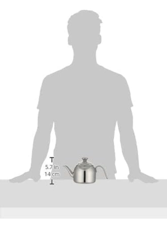 Droppa Teapot Silver 0.9Liters