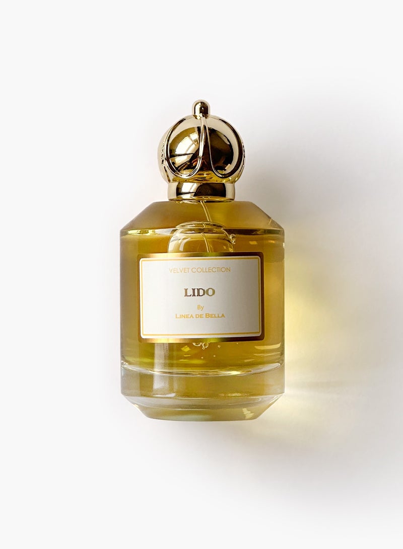 Fragrances Men Edition | Linea De Bella Velvet Lido EDP 100ml with Refreshing Woody Citrus Notes