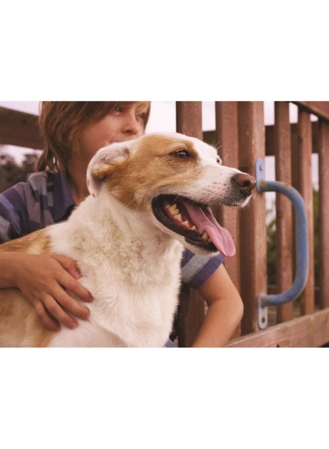 Original 2 Way Pet Door White Medium