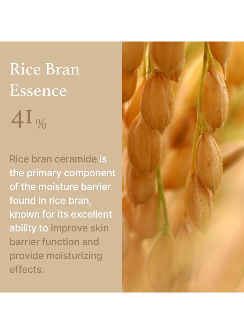 Rice Cream 41% Rice Bran Essence with Ceramide, Glowing Look, Improves Moisture Skin Barrier, Nourishes Deeply, Smoothening to Even Out Skin Tone, K Beauty 50g