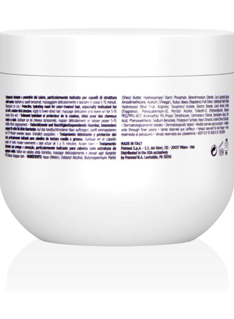 MORPHOSIS - COLOR PROTECT INTENSIVE TREATMENT 250ML