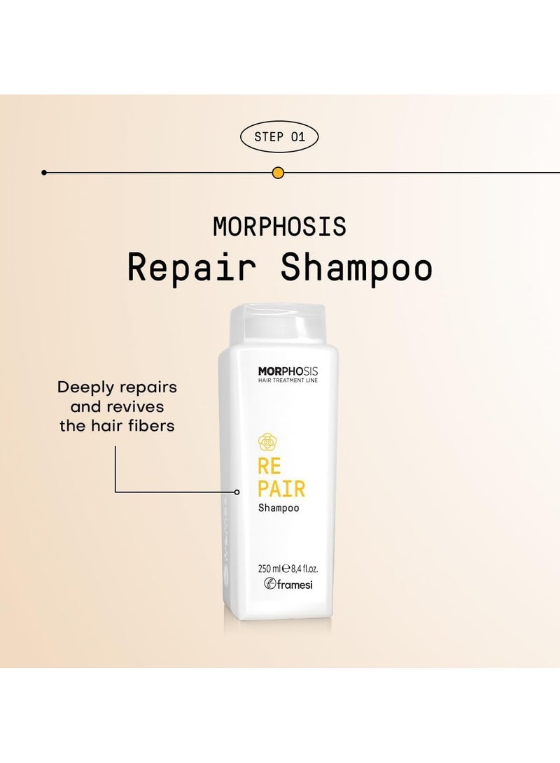 MORPHOSIS - REPAIR SHAMPOO 250 ML