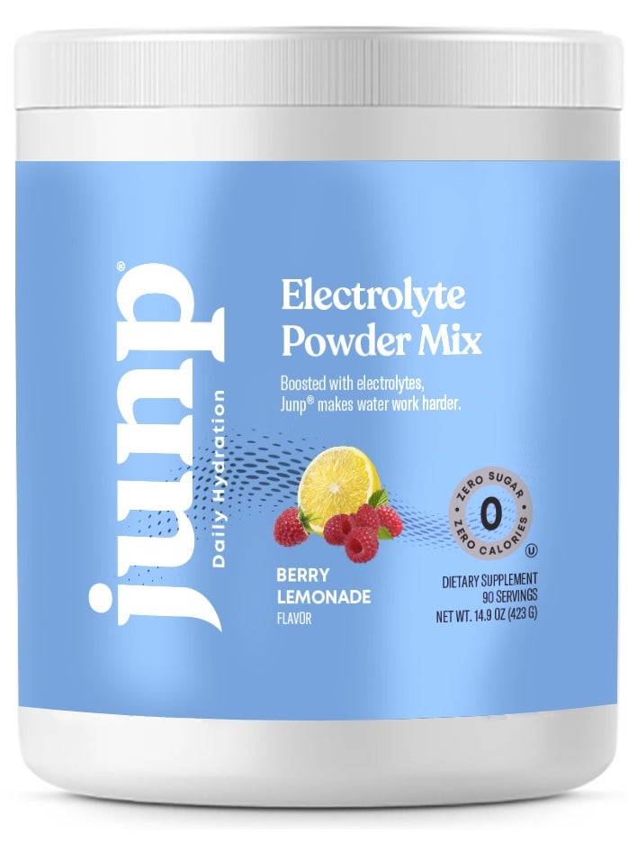 Electrolyte Powder Mix - Berry Lemonade 14.9 oz