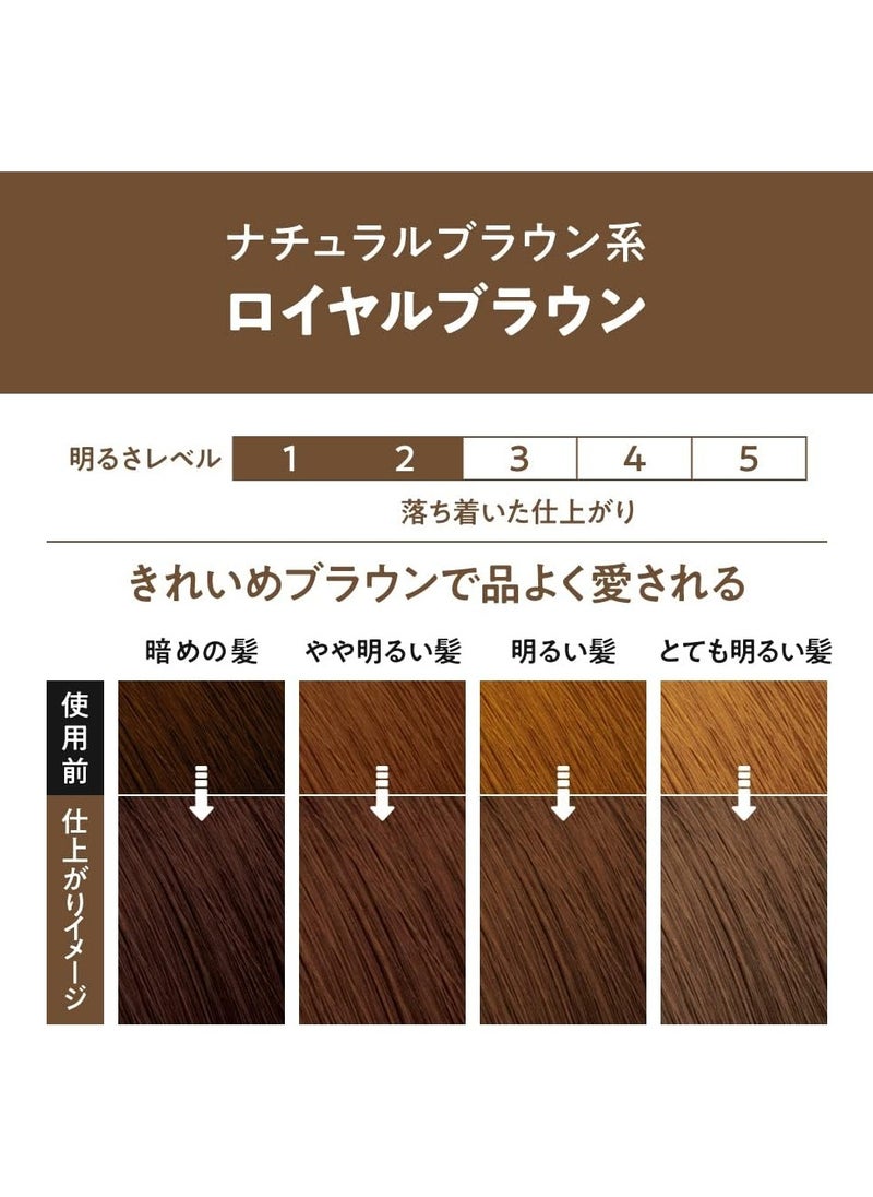 Liese PRETTIA Bubble Hair Colour,Royal Brown