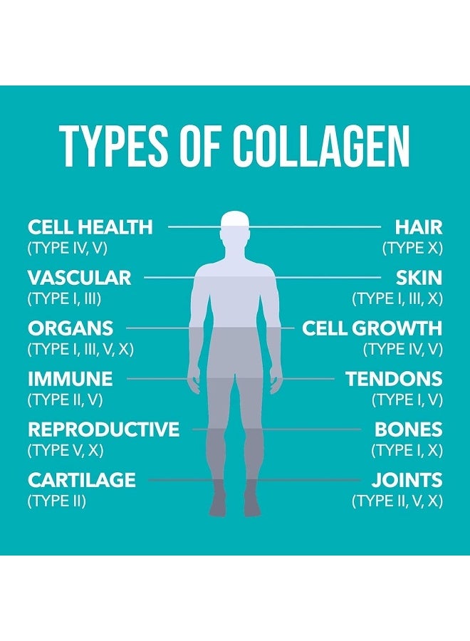 Collagen Peptides Supplement 0.65 lb (294 g)