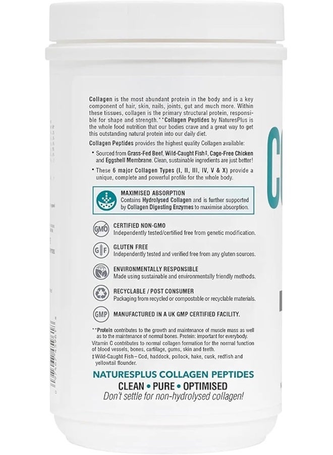 Collagen Peptides Supplement 0.65 lb (294 g)