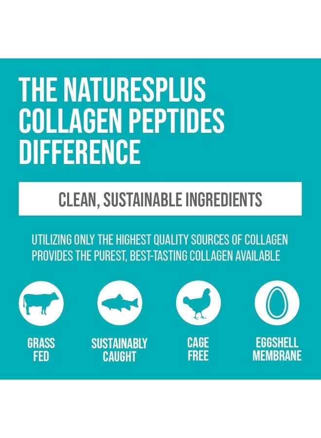 Collagen Peptides Supplement 0.65 lb (294 g)