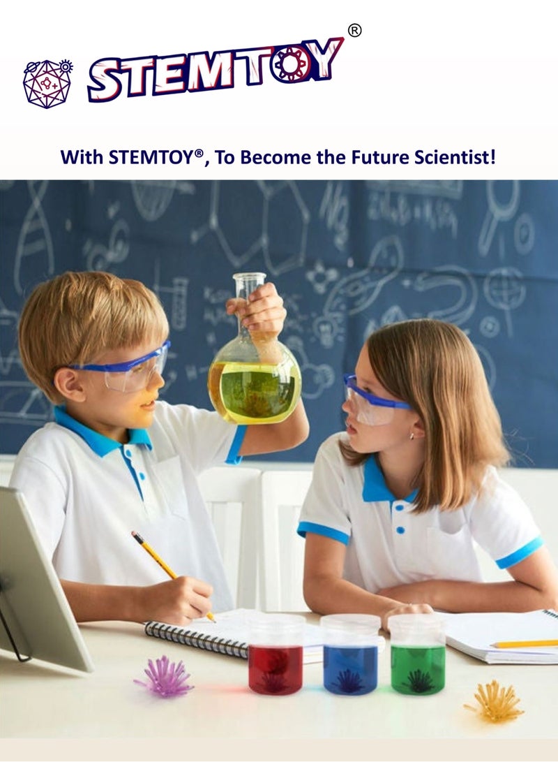 Crystal Growing Kit for Kids - 2pc Crystal Set - Grow Gemstone & Crystals with Display Stand, Easy DIY Science Experiment Kit, STEM Learning and Educational Toy & Gift for Boys & Girls Ages 6+