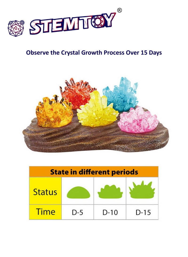 Crystal Growing Kit for Kids - 2pc Crystal Set - Grow Gemstone & Crystals with Display Stand, Easy DIY Science Experiment Kit, STEM Learning and Educational Toy & Gift for Boys & Girls Ages 6+