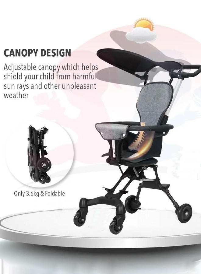 Travel Stroller With Reversible Toddler Seat