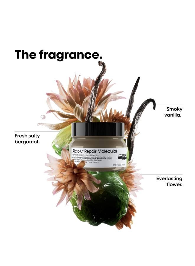 Absolut Repair Molecular Professional Concentrated Rinse-Off Mask