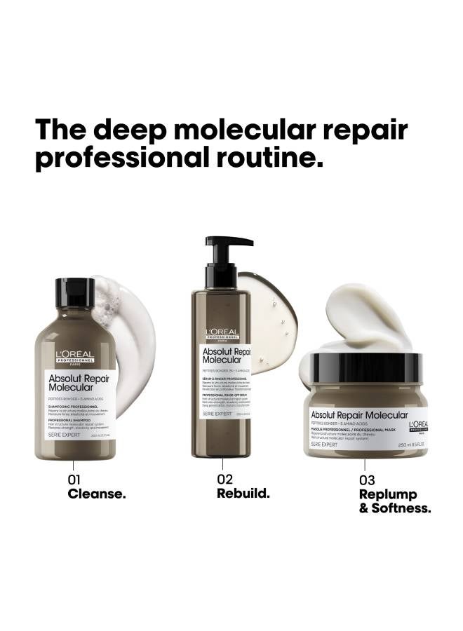 Absolut Repair Molecular Professional Concentrated Rinse-Off Mask