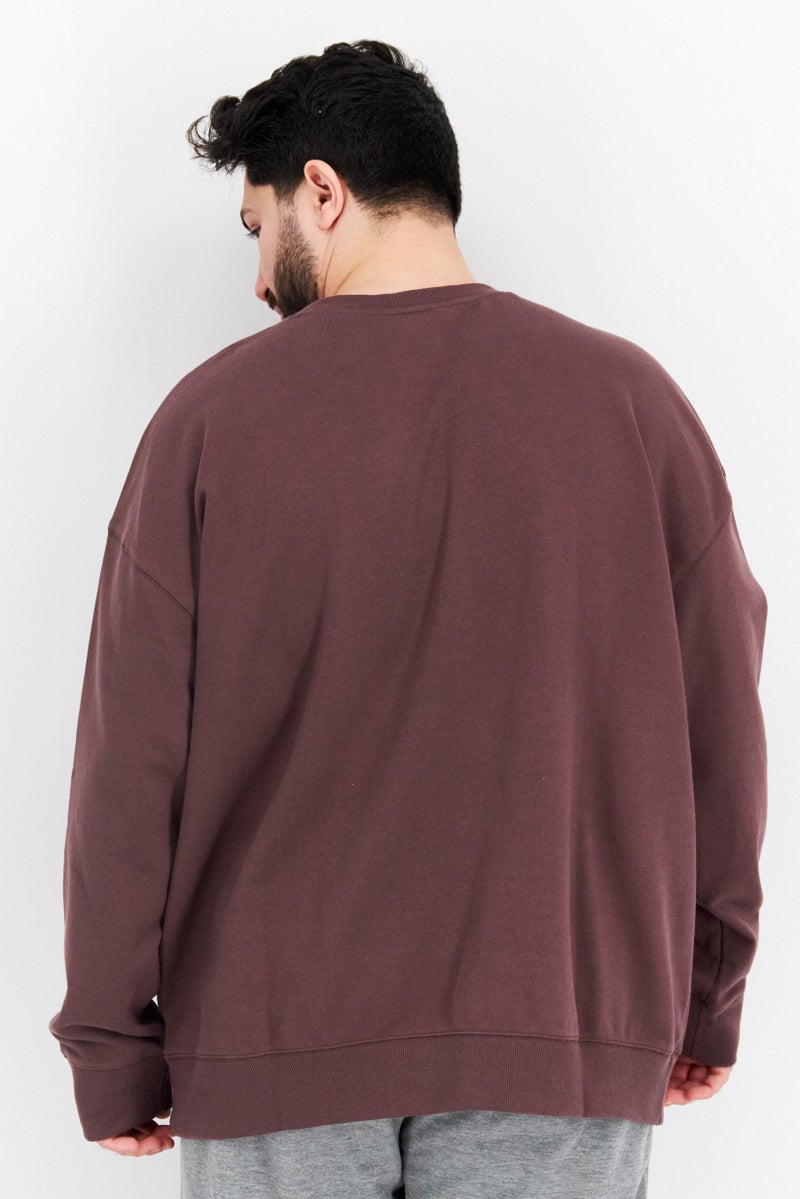 Men Sportswear Fit Long Sleeve Embroidered Logo Sweaters, Brown